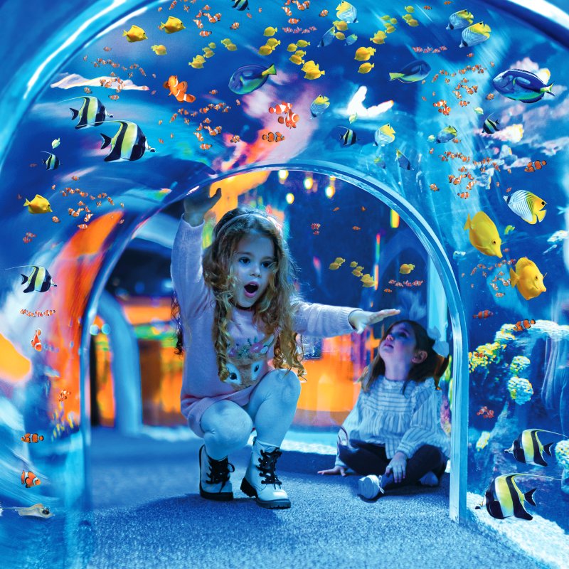 Poema del Mar Aquarium Gran Canaria